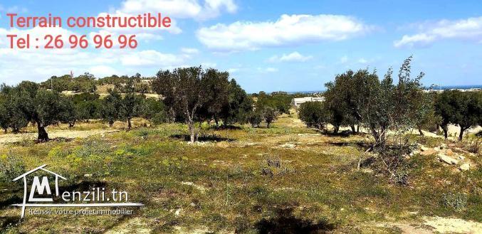 TERRAIN AKOUDA 4610 m² CONSTRUCTIBLE FACE BAIE DES ANGES.