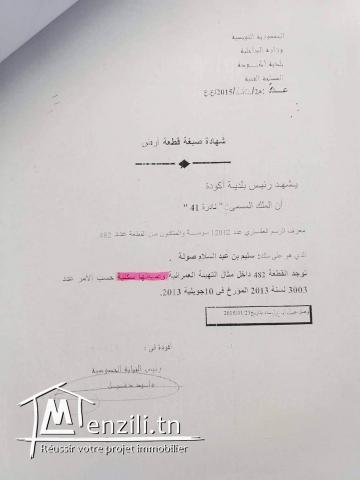 TERRAIN AKOUDA 4610 m² CONSTRUCTIBLE FACE BAIE DES ANGES.