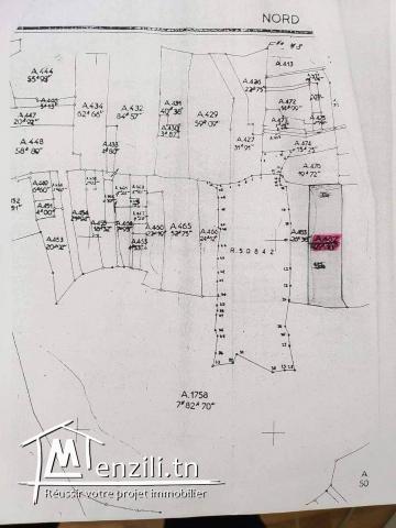 TERRAIN AKOUDA 4610 m² CONSTRUCTIBLE FACE BAIE DES ANGES.