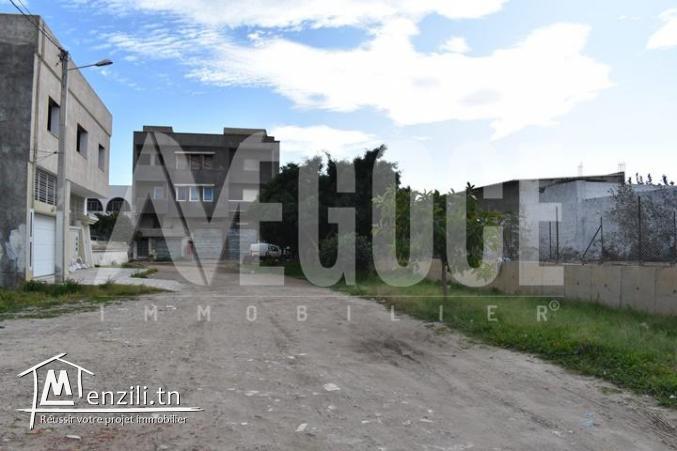 un terrain à dar chaaben