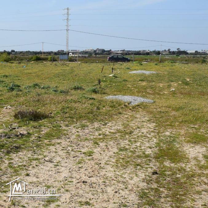 Terrain à Ain Grenz, Kélibia