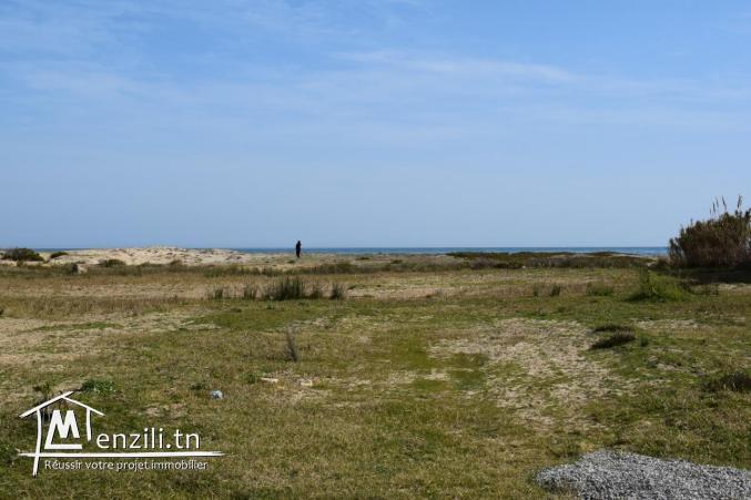 terrain pied dans l'eau à Kelibia