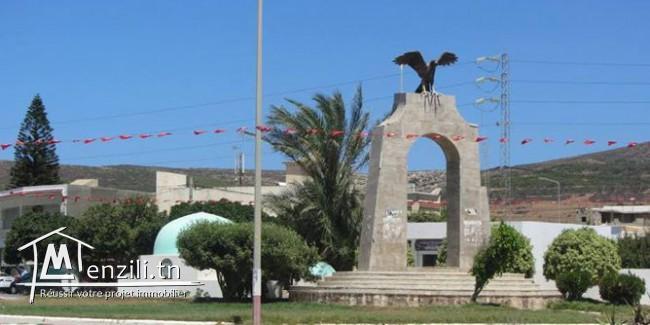 Terrain commercial à El haouaria !