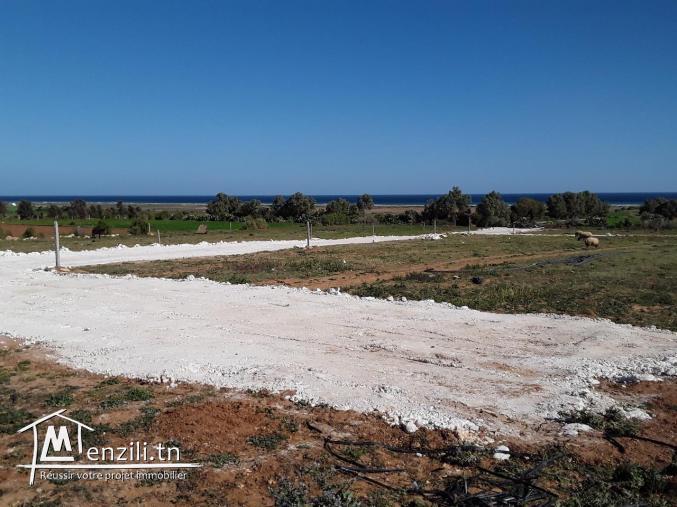 Terrain à Menzel Hor