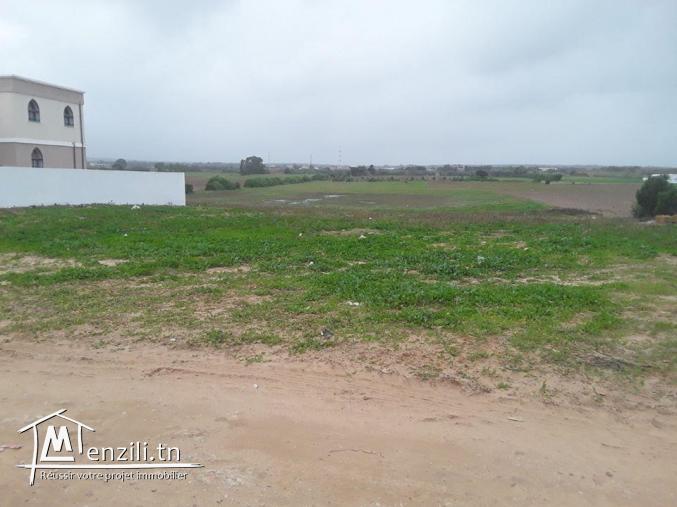Terrain à  kerkouene ☎️ 28.910.824 ☎️