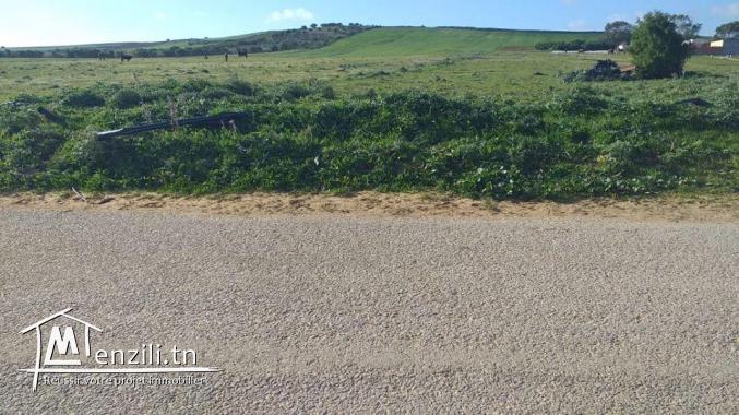 4 hectare à Tamzrat sur la route principale ‼️