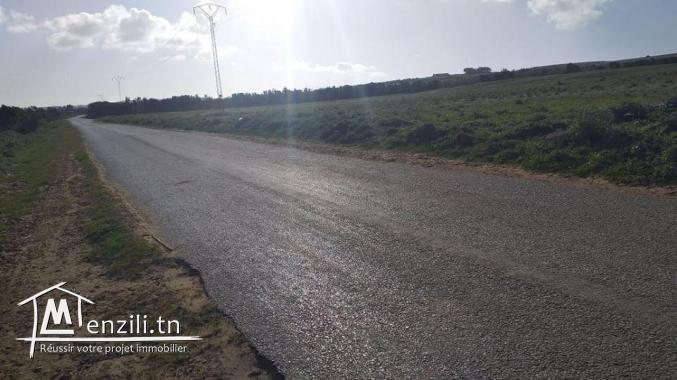 Terrain agricole a mornaguia sur la route principale