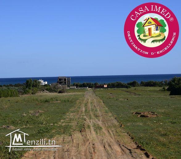 A vendre des terrains à Kerkouane