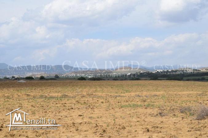 des terrain pour investissement à hammamet sud