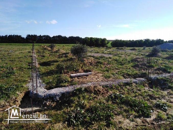 Des terrains avec titre bleu à Kelibia