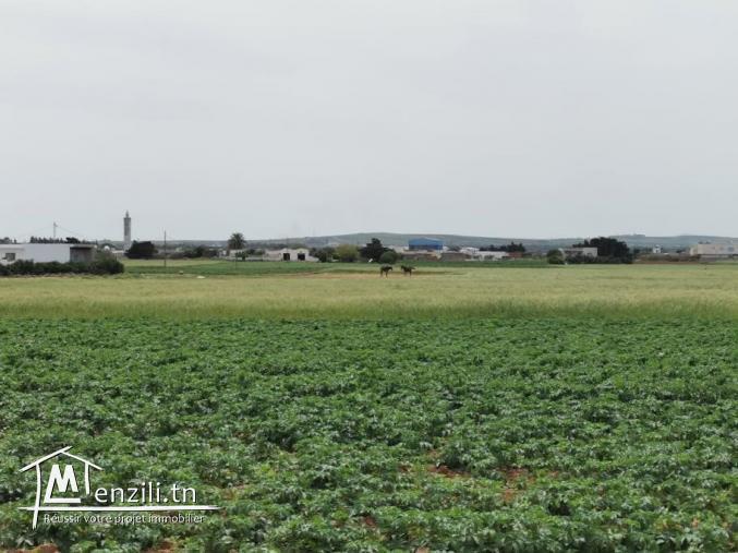 terrain agricole 21540 m² à haret chouara dar allouch