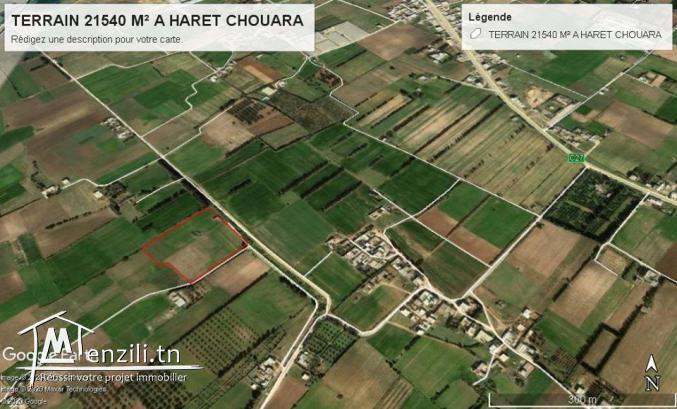 terrain agricole 21540 m² à haret chouara dar allouch