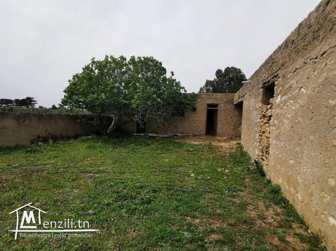 terrain agricole 21540 m² à haret chouara dar allouch