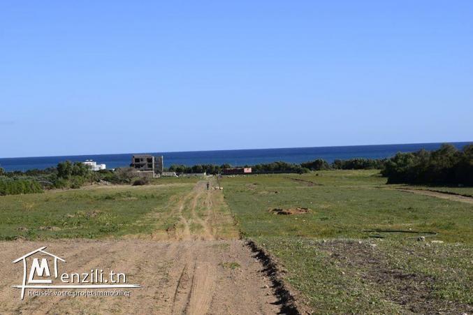 Terrain à kerkouane, pas loin de la plage