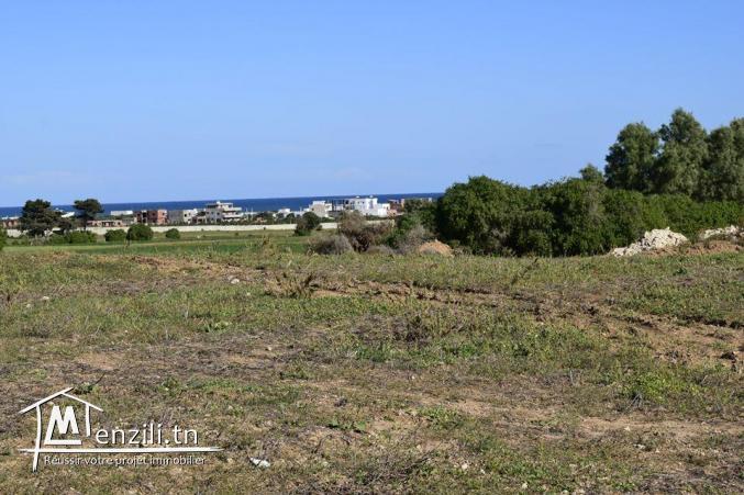 Terrain à kerkouane, pas loin de la plage