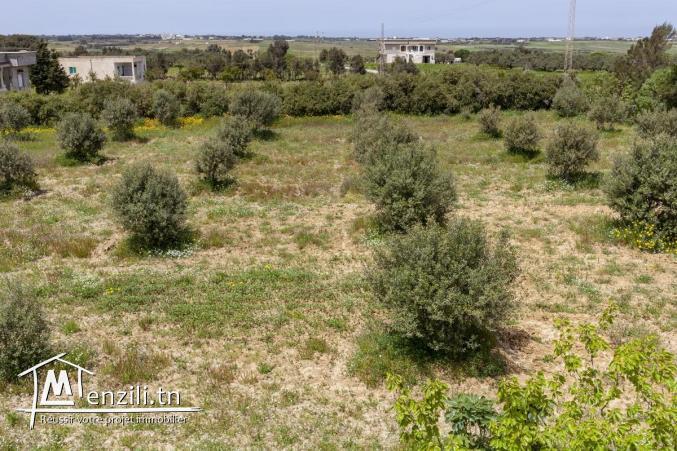Terrain à prix introuvable à Kelibia