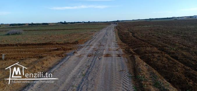 Terrain en plein nature à 4km du Kelibia