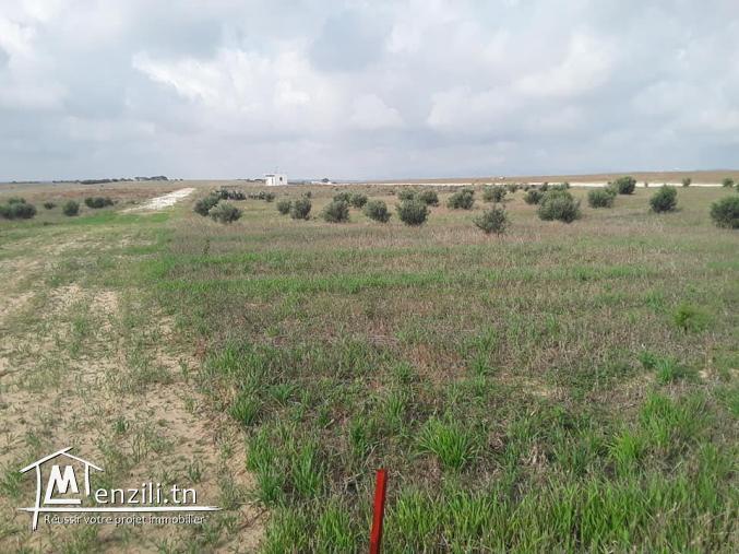 des terrain pour investissement à partir de 11.000 dt