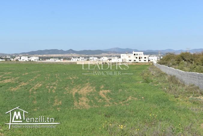 des lots de terrain à km71 (5min de la mer)