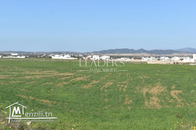 des lots de terrain à km71 (5min de la mer)