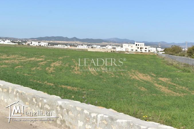 des lots de terrain à km71 (5min de la mer)