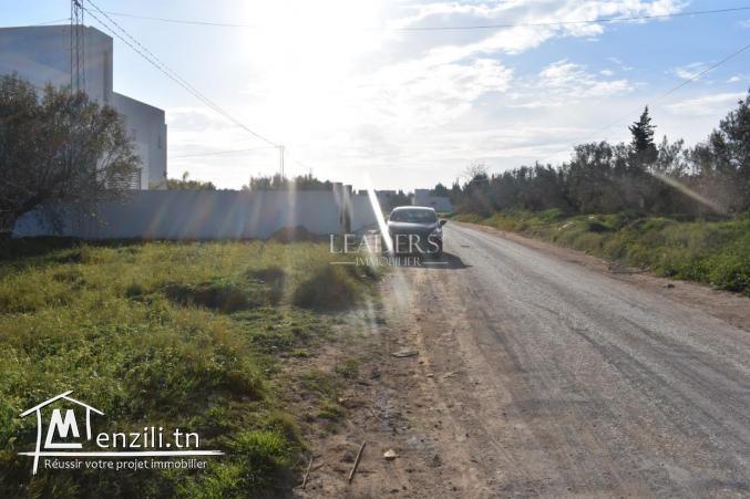 un superbe terrain de 1000 à Monchar Hammamet