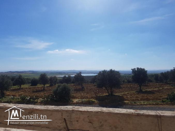 terrain a sanhaja  manouba