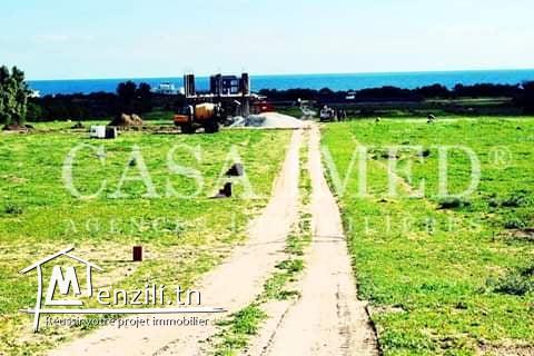 Terrain de 275 m2à Kerkouane