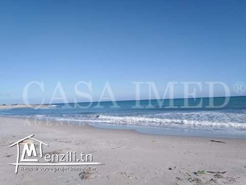 Terrain à Kélibia de 300 m2