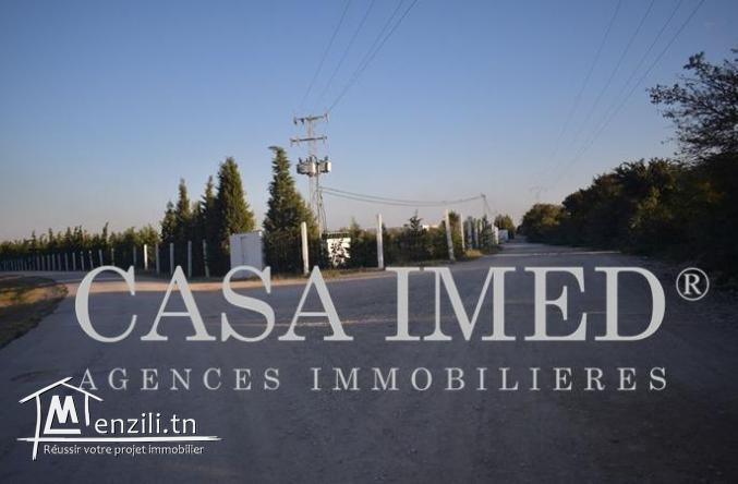 ارض في الحمامات تبعد 10دق على البحر