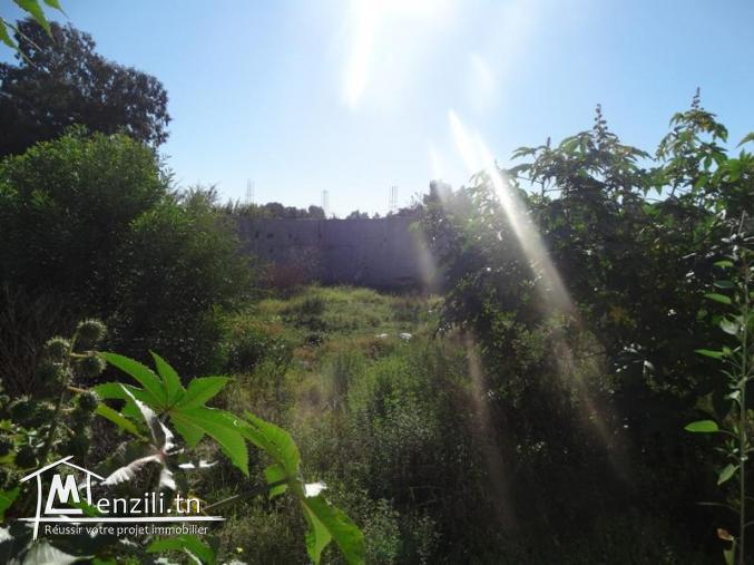 Dépôt Chaila (Réf: V881)