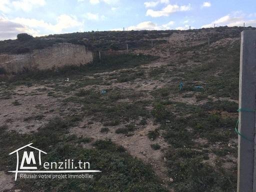 Terrains sur la colline de Metline