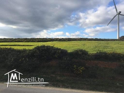 Terrains sur la colline de Metline