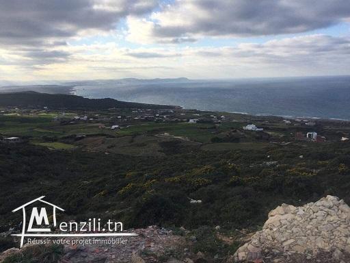 Terrains sur la colline de Metline