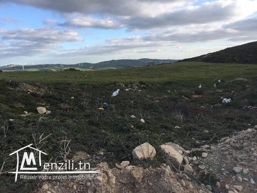 Terrains sur la colline de Metline