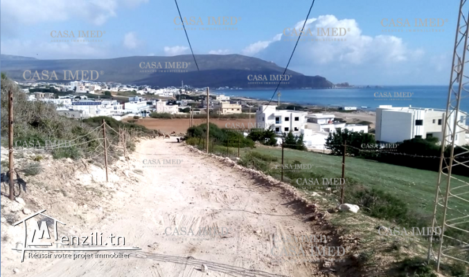 terrain à elhaouaria