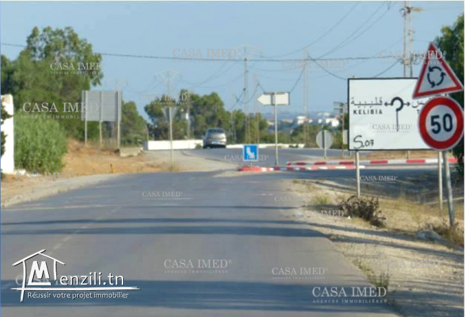 terrain sur la route principale elhaouaria