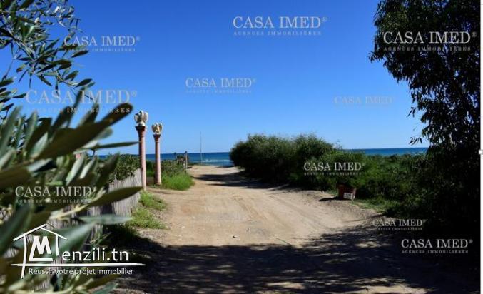 terrain à kerkween  kélibia