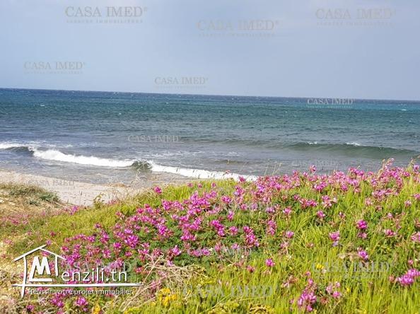 أراضي قريبة من بحر كركوان