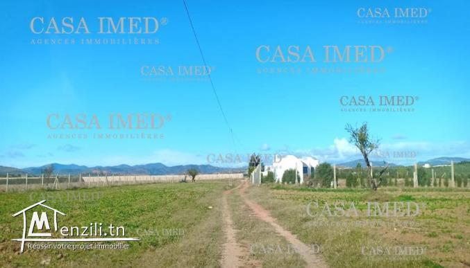 terrain de   340 m² à hammamet sud