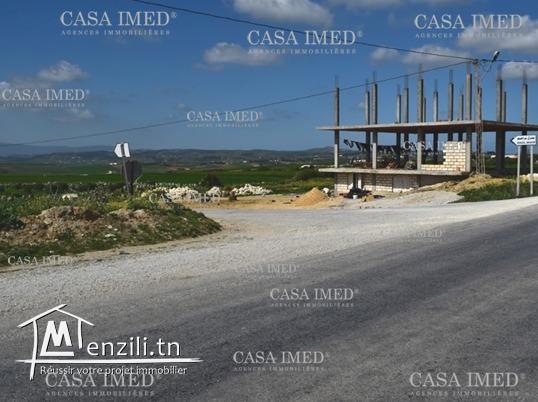 Terrain a vendre en plein nature 5 km a kelibia