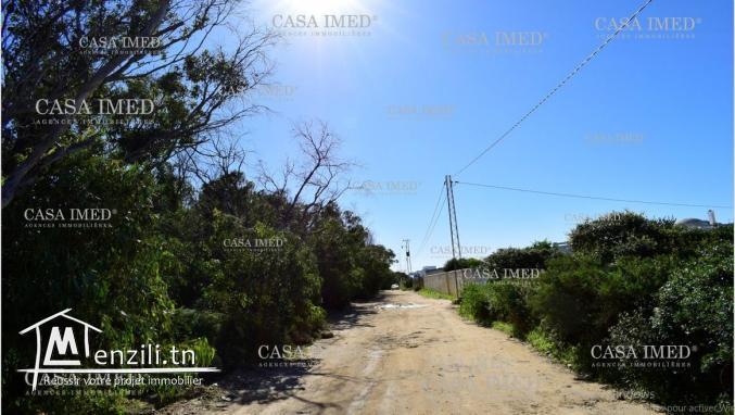 terrain a vendre 800 a la plage kerkwene