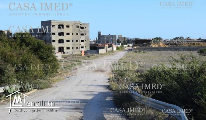 ارض في الحمامات