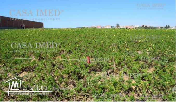 أرض بمنزل إبراهيم