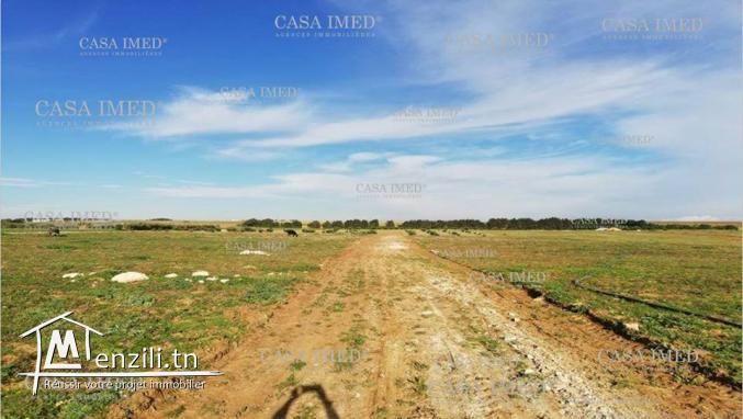 un terrain 6 km à kélibia