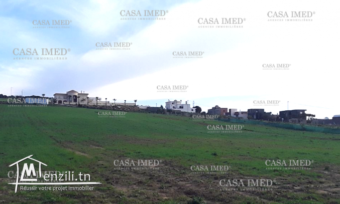 قطعة أرض في هدوء طبيعة الوطن القبلي