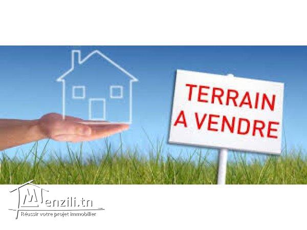 TERRAIN POUR PROMOTEUR IMMOBILIER A LA MANNOUBA