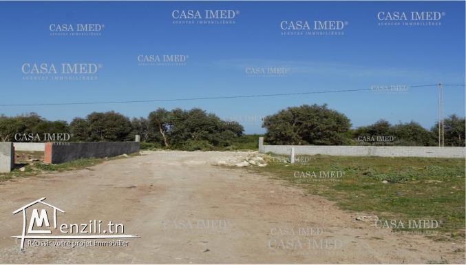 أرخص سوم اليوم تنجمو تلقاوه كان عنا وزيد بالتقسيط .