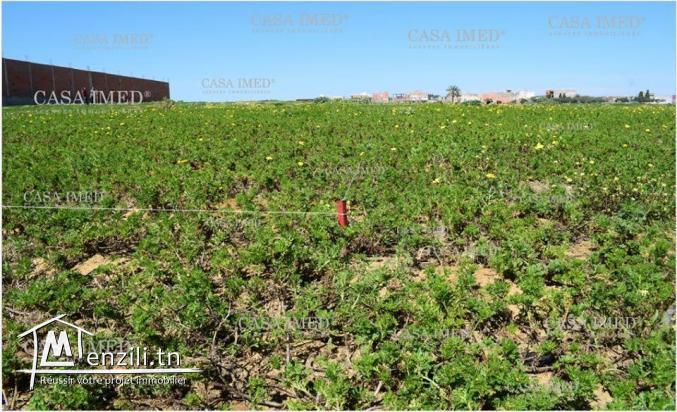Terrain de 300 m2  en plein nature 