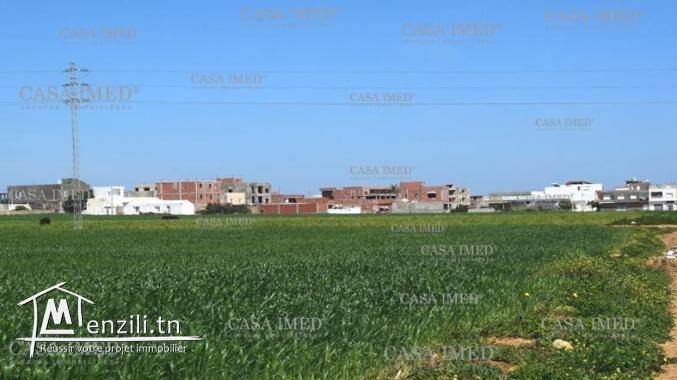 terrain de 150 m2 à kélibia 